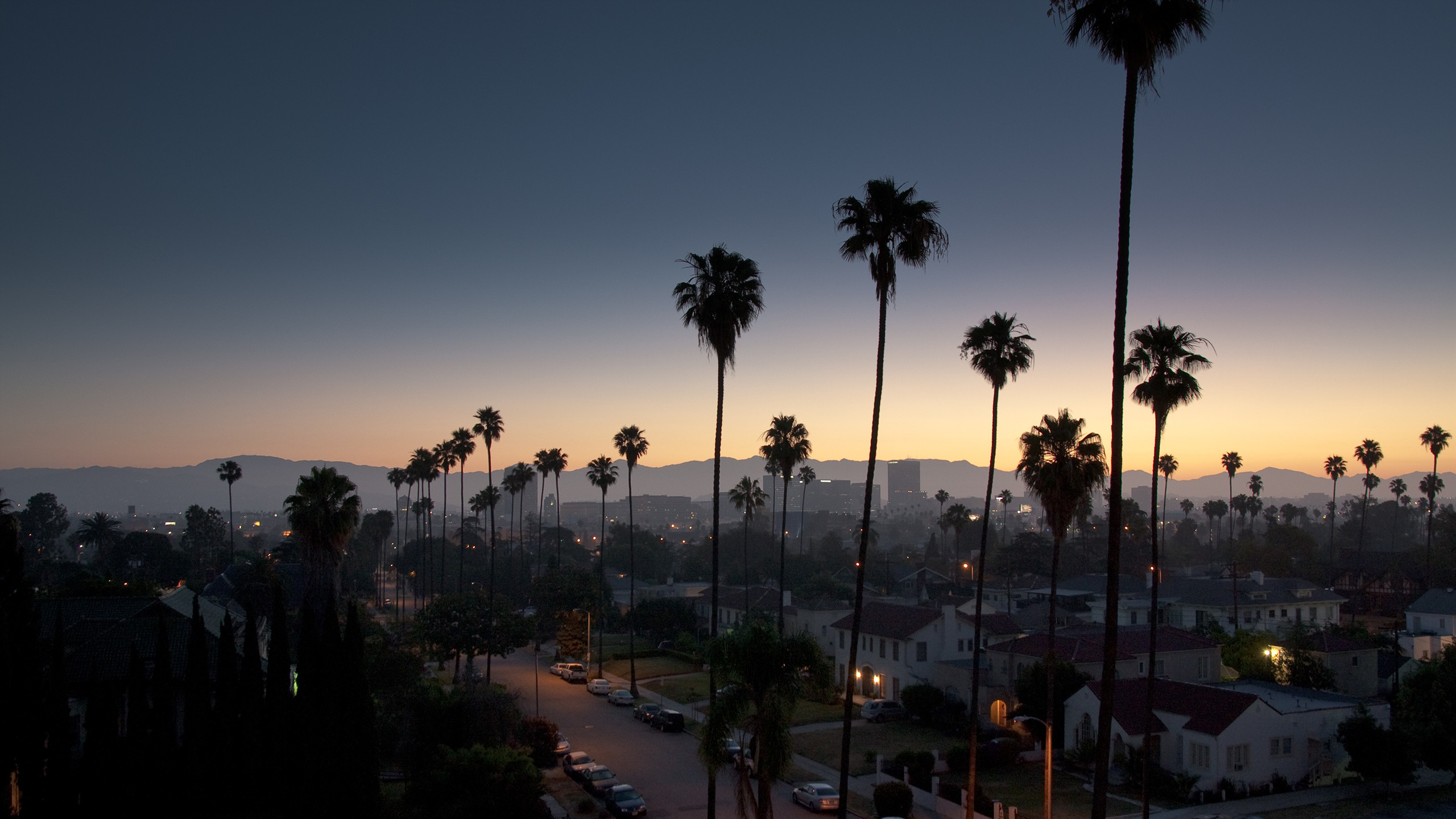 sky, Sunset, Los Angeles, Palm trees, Cityscape Wallpaper
