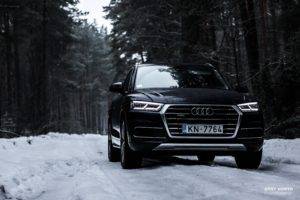 Audi Q5, Snow, Latvia, Forest, Arny North