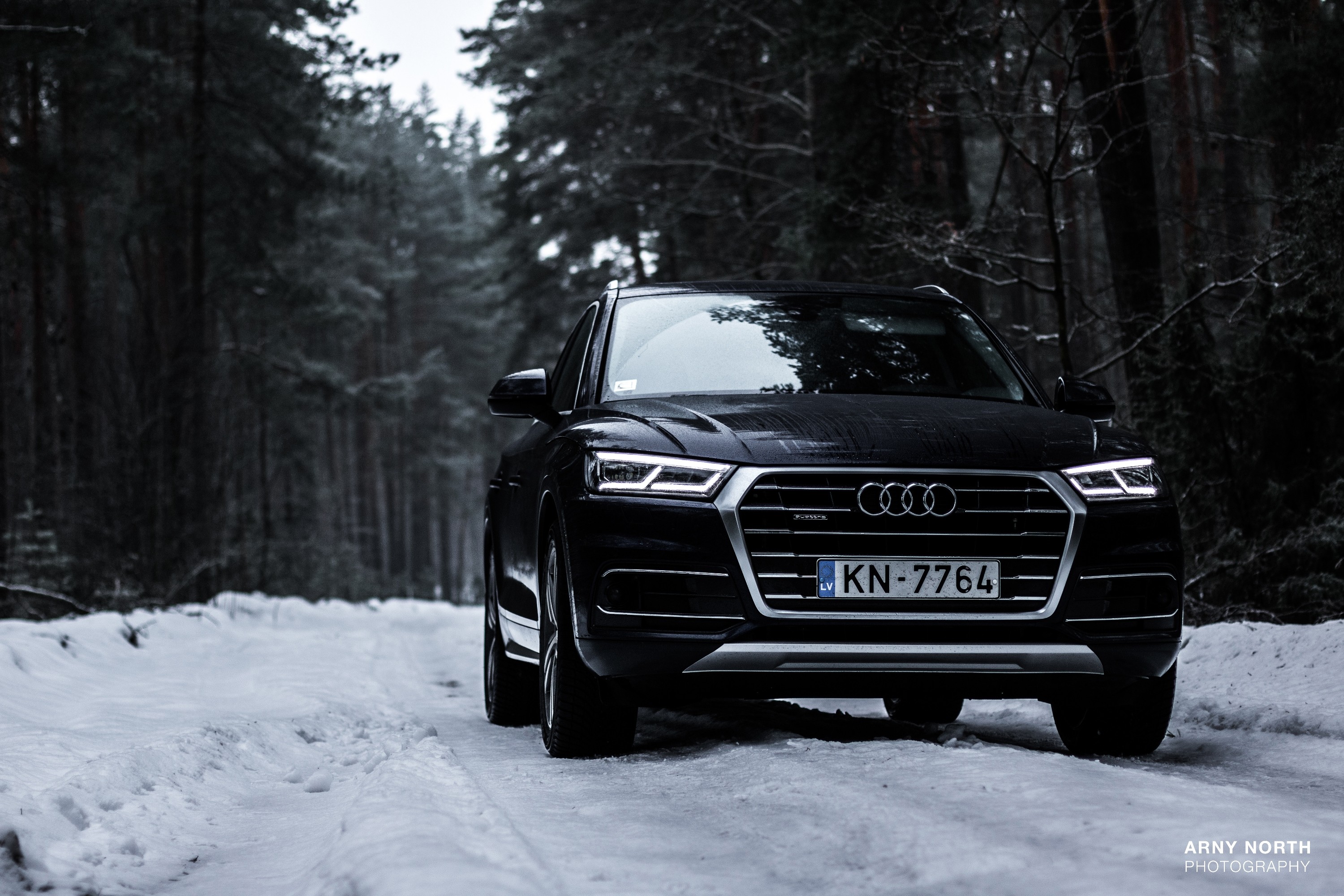 Audi Q5, Snow, Latvia, Forest, Arny North Wallpaper