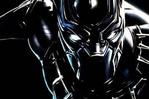 warrior, Black Panther, Marvel Comics, Captain America: Civil War, Marvel Cinematic Universe