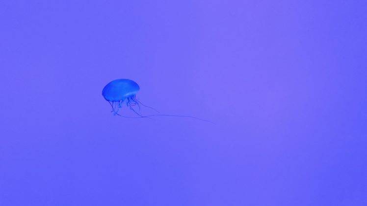 jellyfish, Neon, Purple HD Wallpaper Desktop Background