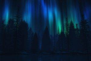 forest, Lake, Lights, Outdoors, Artwork, Dark blue