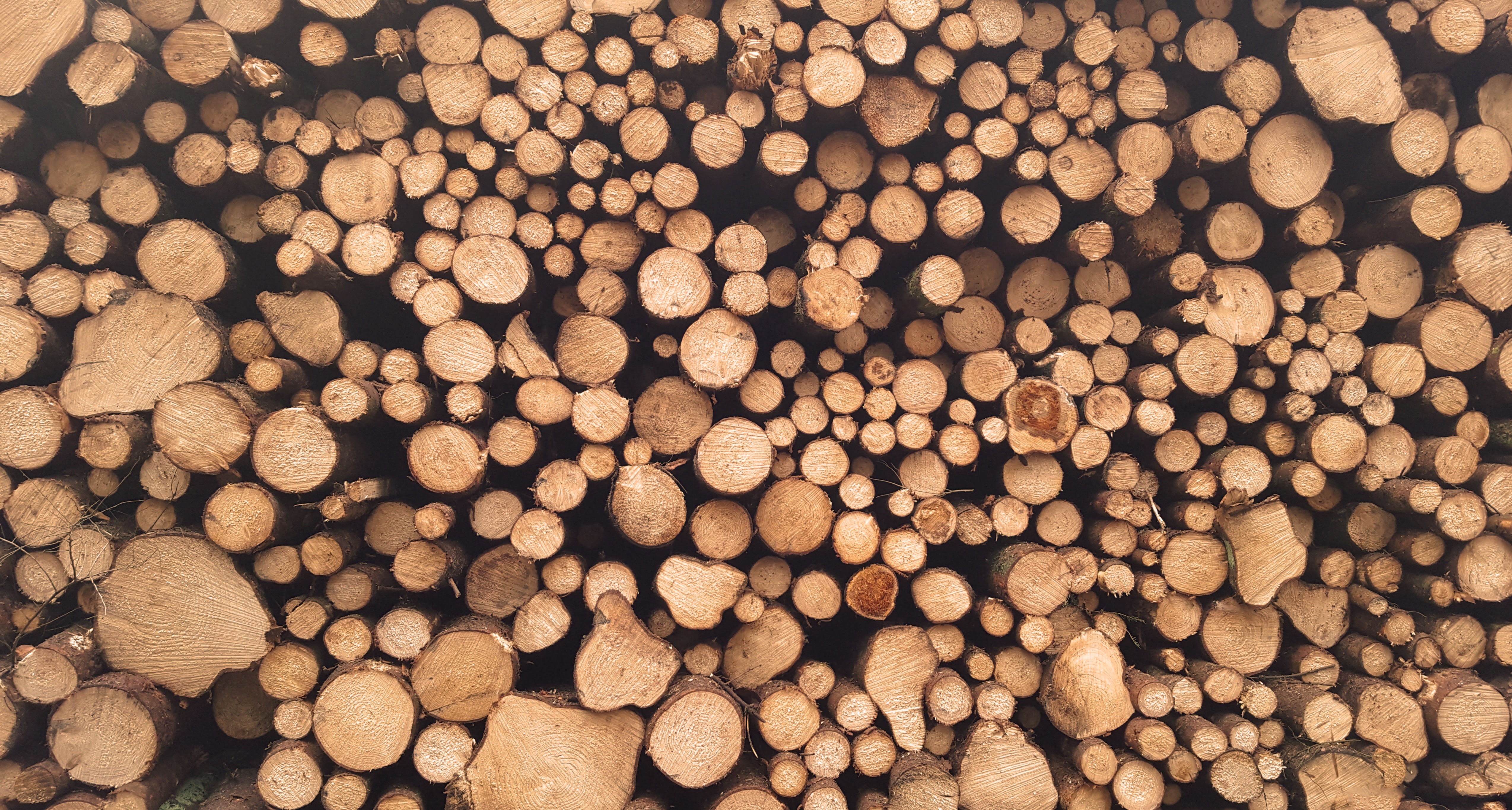 wood, Pattern Wallpaper