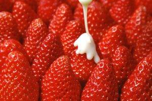 strawberries, Fruit, Cream