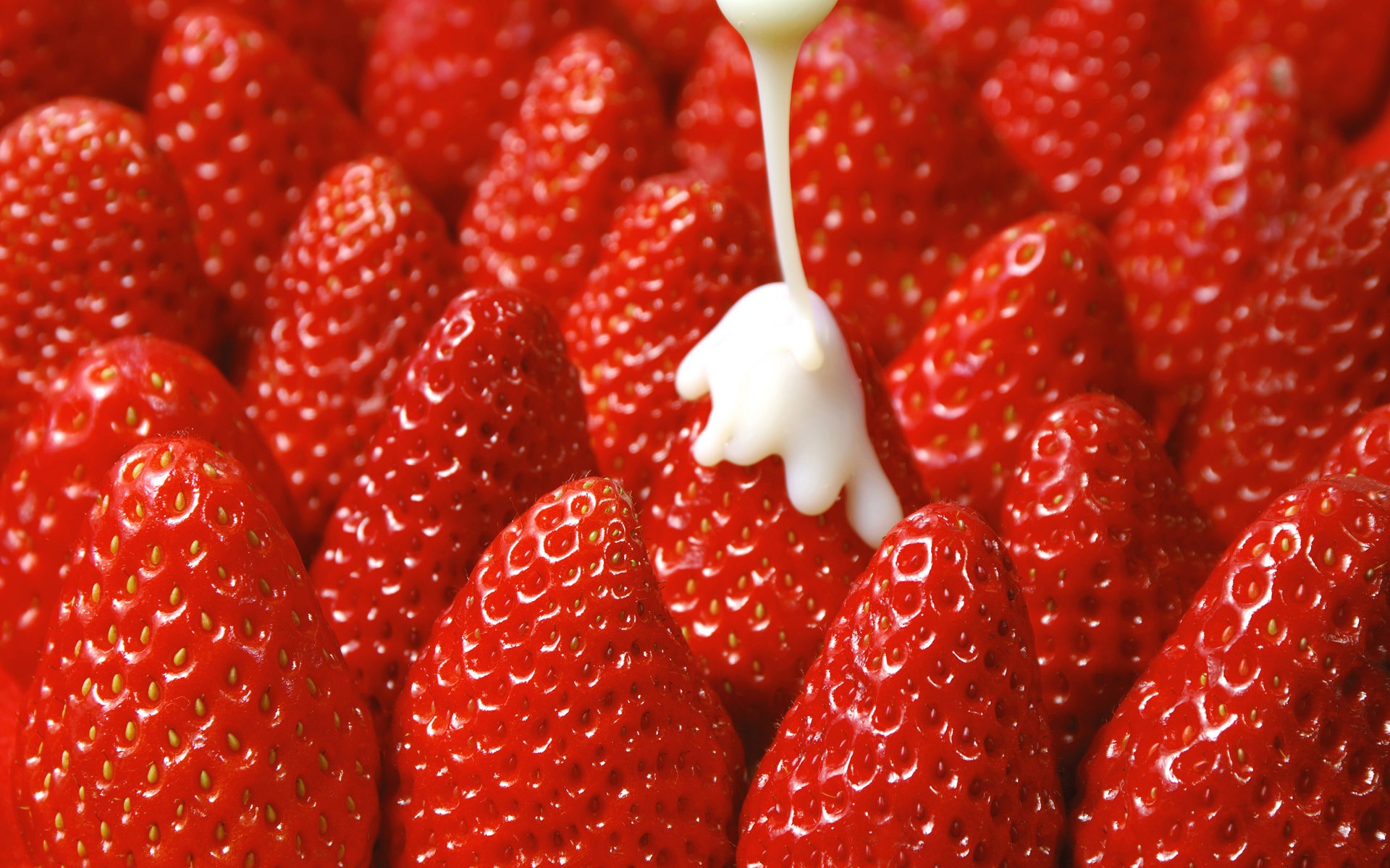 strawberries, Fruit, Cream Wallpaper