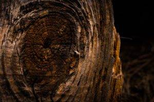 wood, Knag, Wood planks, Barn