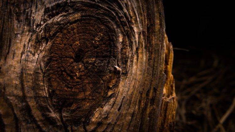 wood, Knag, Wood planks, Barn HD Wallpaper Desktop Background