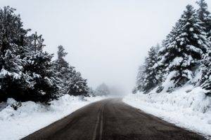 nature, Snow, Road, Trees