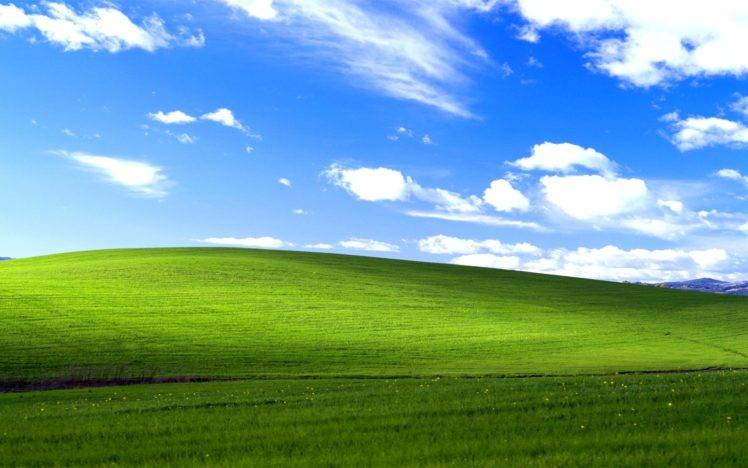 grass, Windows XP HD Wallpaper Desktop Background