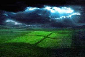 grass, Windows XP