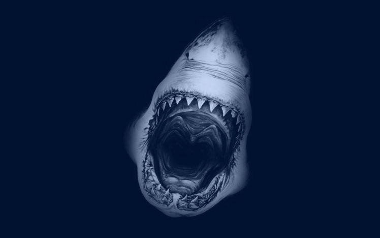 teeth, Open mouth, Shark, Fangs HD Wallpaper Desktop Background
