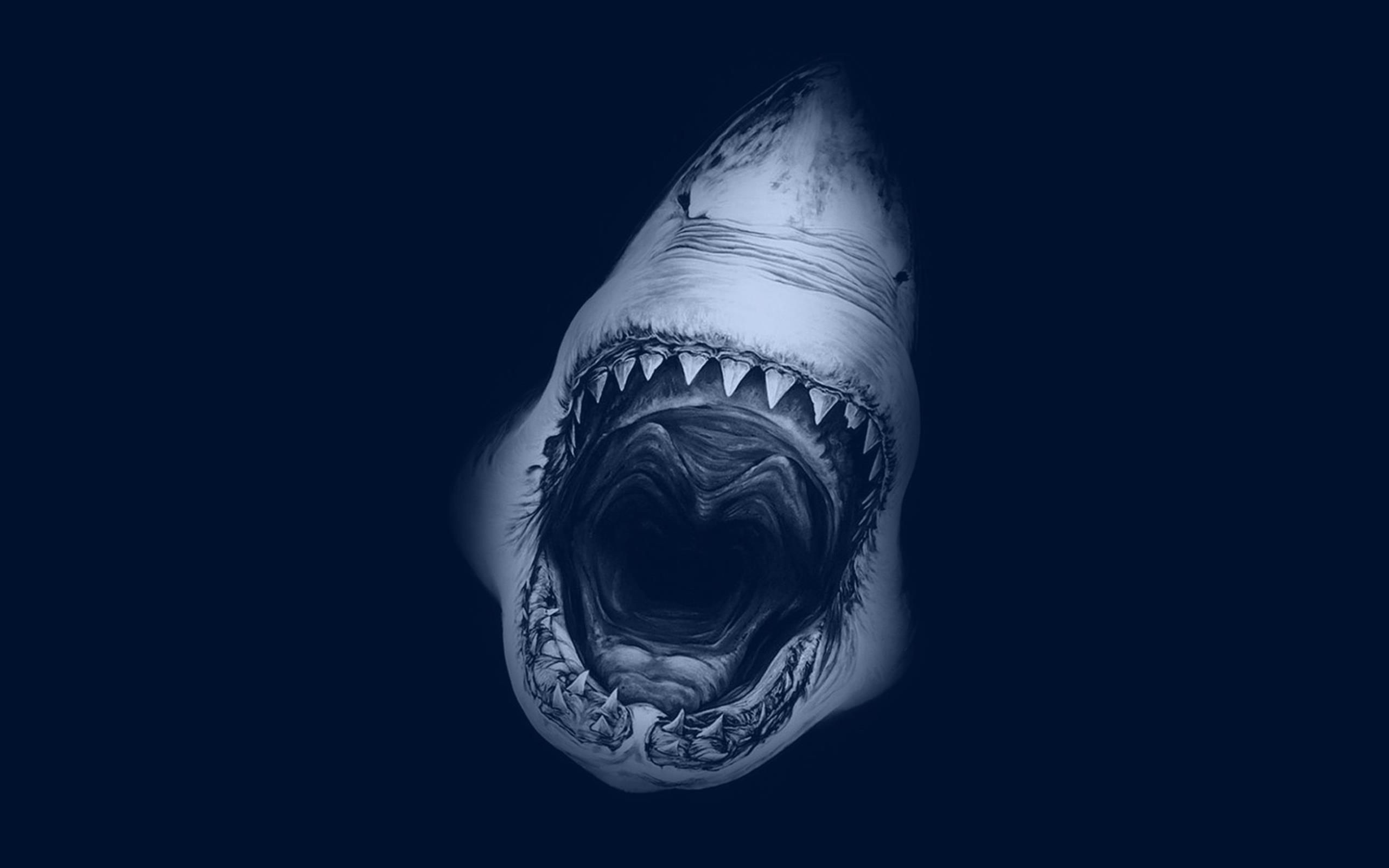 teeth, Open mouth, Shark, Fangs Wallpaper