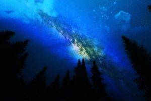 Milky Way, Pine trees, Space