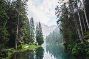 nature, Trees, Water, Landscape, Reflection, River, Mountains