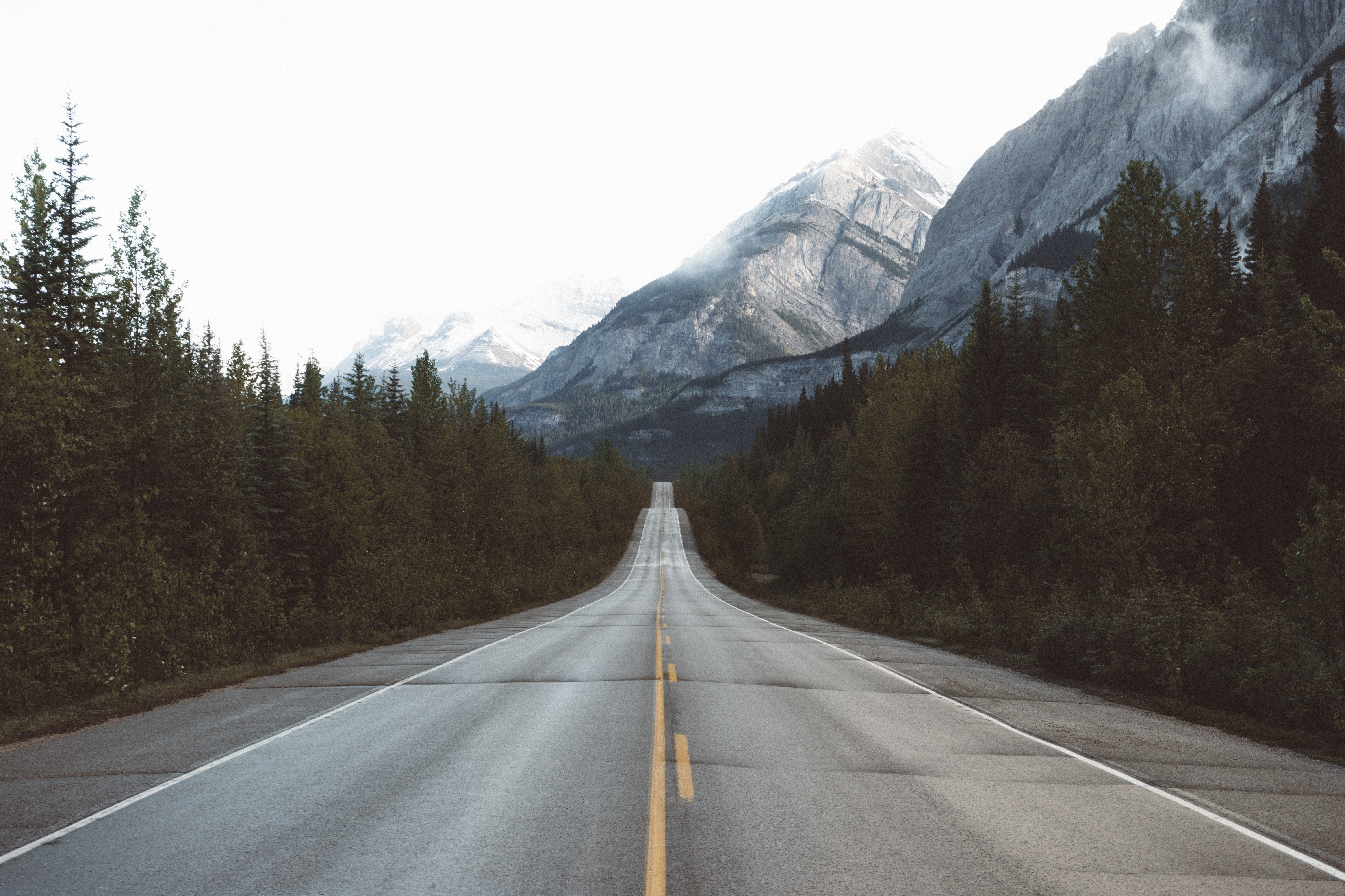 nature, Trees, Road, Landscape, Mountains Wallpaper