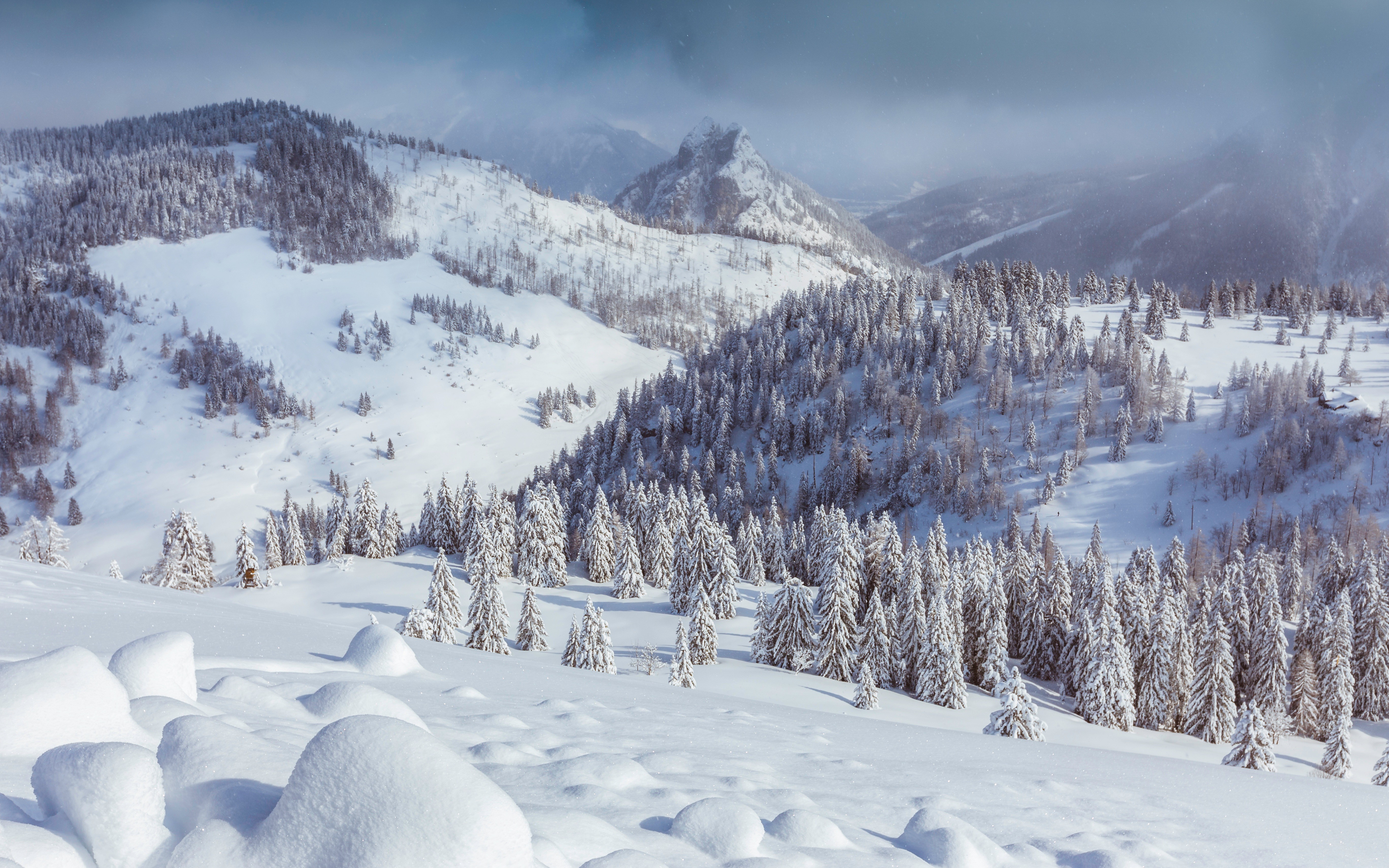 nature, Snow, Trees, Landscape, Mountains Wallpaper