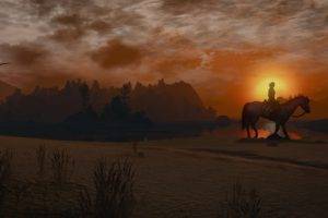 The Witcher 3: Wild Hunt, Video games, Horse, Sunlight, Sky, The Witcher