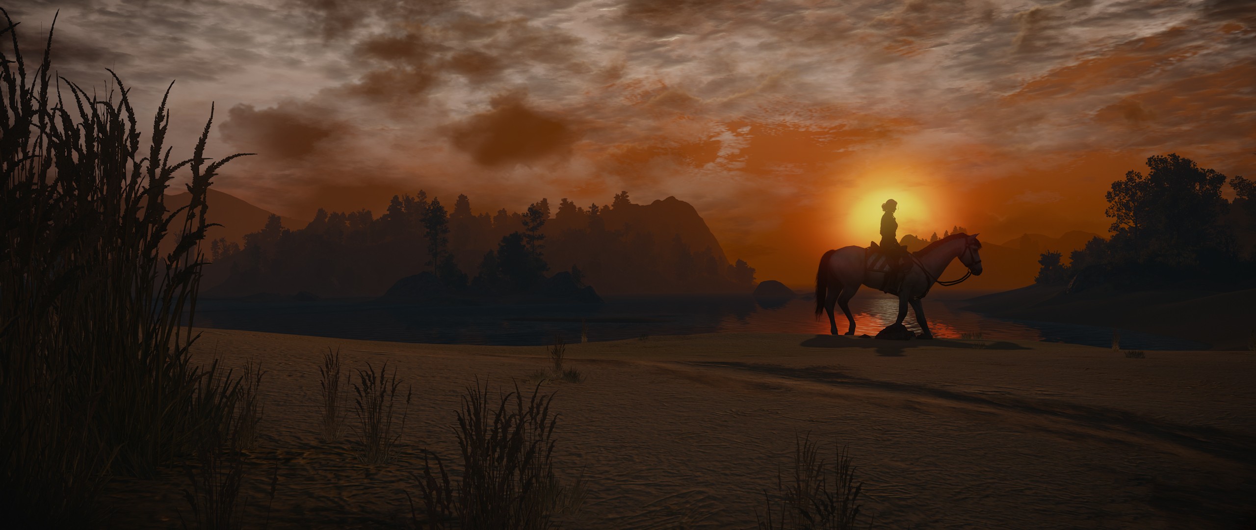 The Witcher 3: Wild Hunt, Video games, Horse, Sunlight, Sky, The Witcher Wallpaper