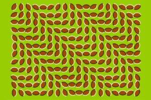 optical illusion, Graphic design, Green background