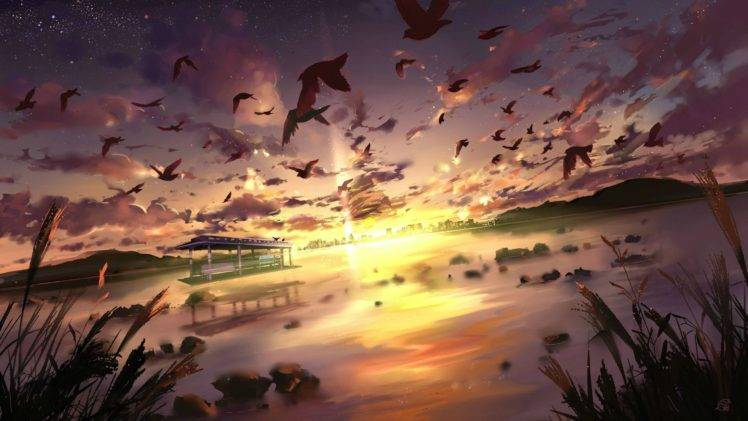 birds, Manzara, Sea, Clouds, Sunlight HD Wallpaper Desktop Background