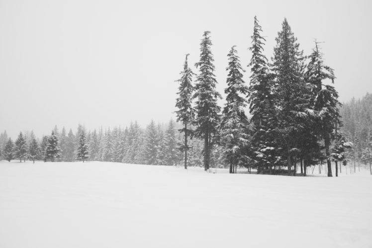 landscape, Nature, Trees, Snow, Winter HD Wallpaper Desktop Background