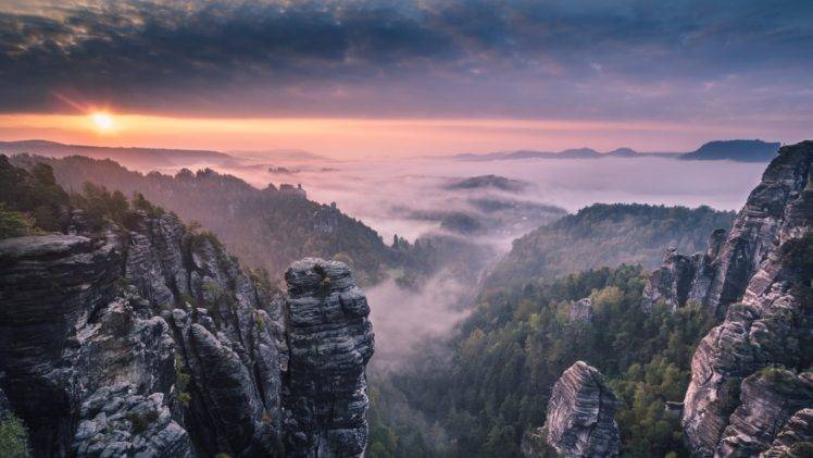 landscape, Forest, Nature, Mist HD Wallpaper Desktop Background