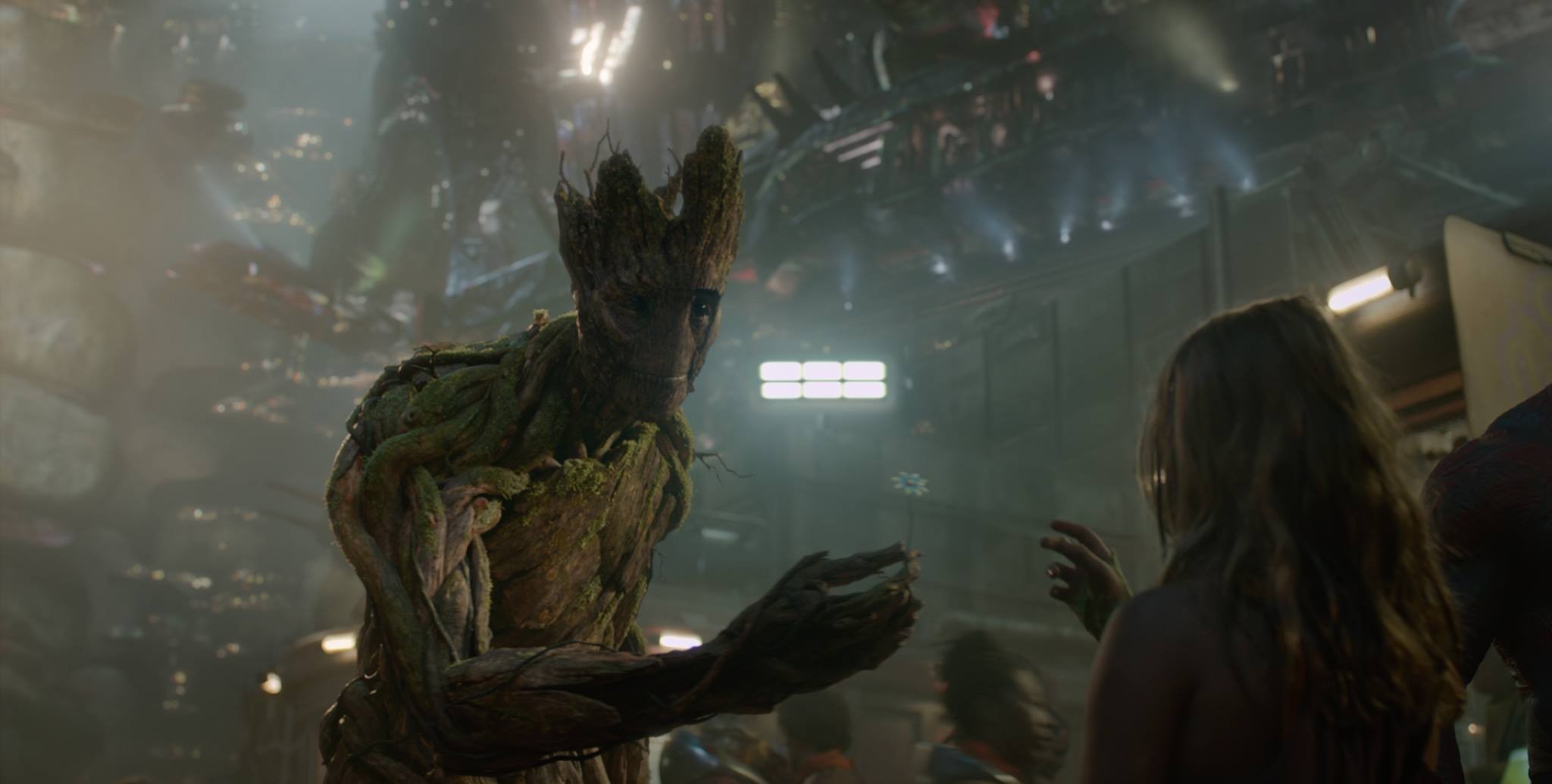 Groot, Vin Diesel, Guardians of the Galaxy, Chamomile, Presents Wallpaper