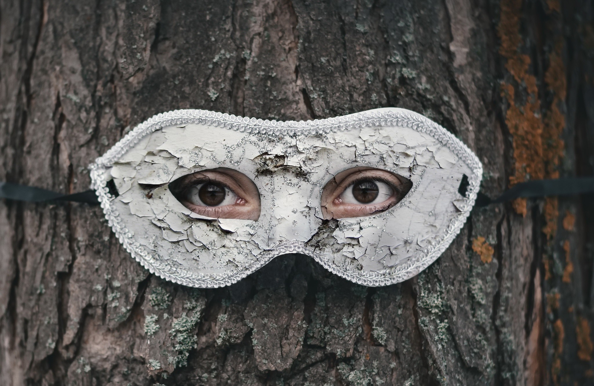 eyes, Mask, Trees Wallpaper