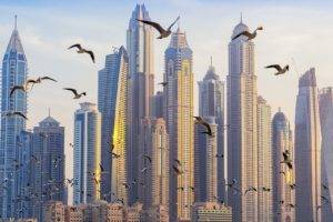architecture, Building, Skyscraper, Cityscape, United Arab Emirates, Dubai, Birds, Flying