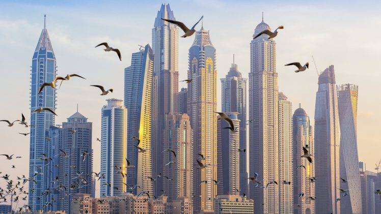 architecture, Building, Skyscraper, Cityscape, United Arab Emirates, Dubai,  Birds, Flying Wallpapers HD / Desktop and Mobile Backgrounds