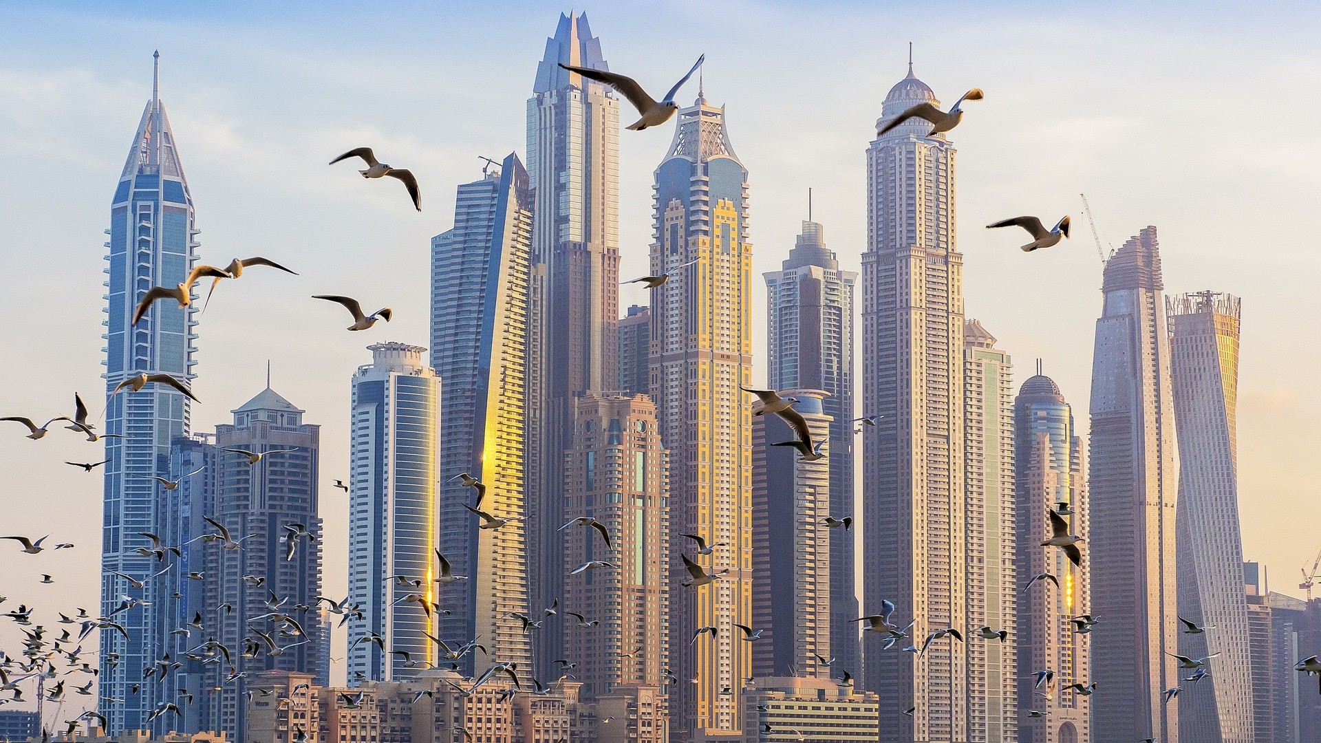 architecture, Building, Skyscraper, Cityscape, United Arab Emirates, Dubai, Birds, Flying Wallpaper