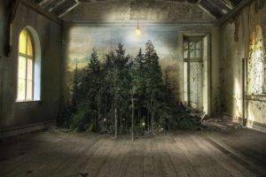 Suzanne Moxhay, Nature, Trees, Forest, Branch, Photo manipulation, Artwork, Pine trees, Interior, Abandoned, Wooden surface, Planks, Window, Lights