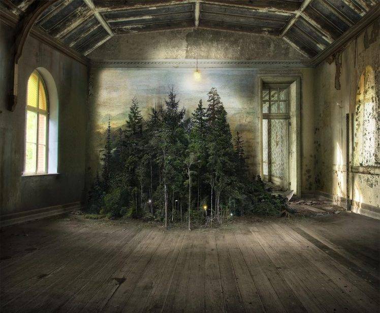 Suzanne Moxhay, Nature, Trees, Forest, Branch, Photo manipulation, Artwork, Pine trees, Interior, Abandoned, Wooden surface, Planks, Window, Lights HD Wallpaper Desktop Background
