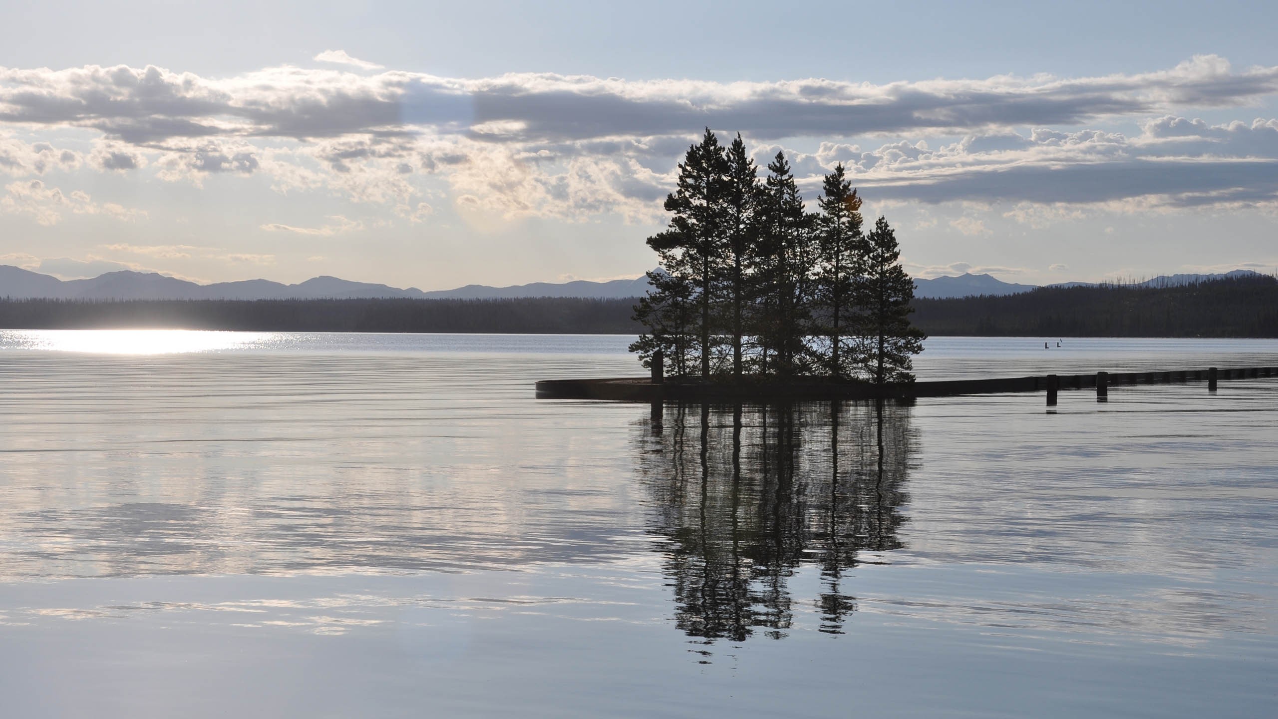 landscape, Trees Wallpaper