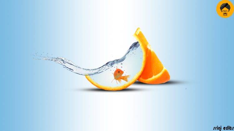 fish, Water, Orange (fruit), Splashes HD Wallpaper Desktop Background