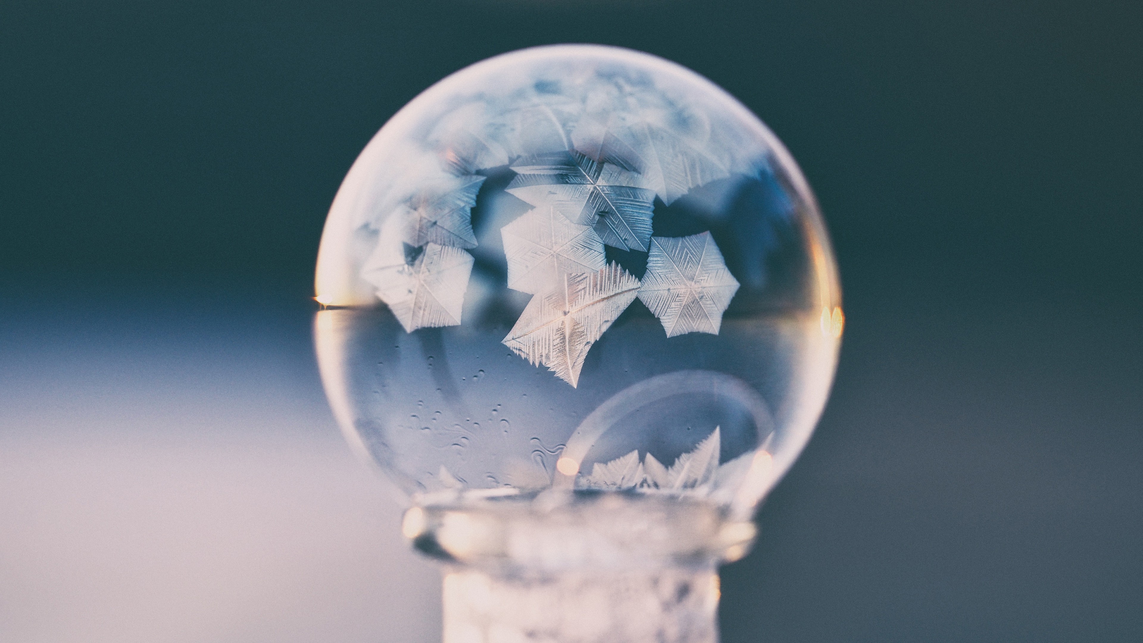photography, Frozen bubble Wallpaper