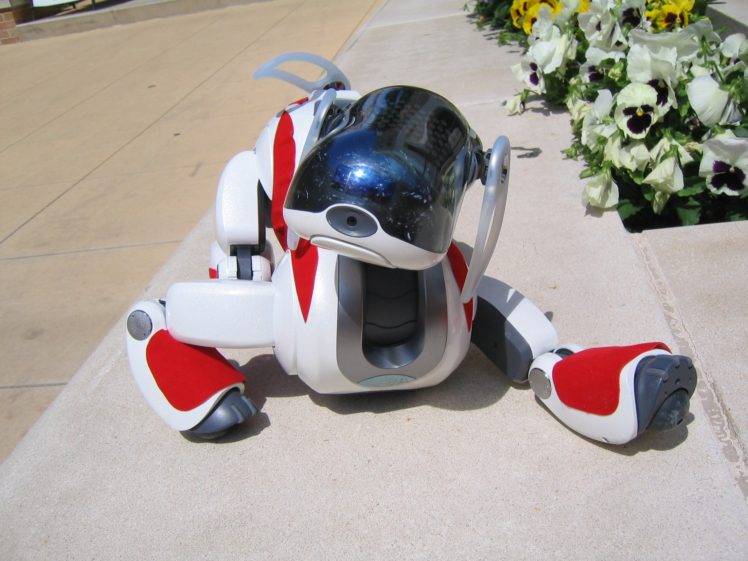 aibo, Robot HD Wallpaper Desktop Background