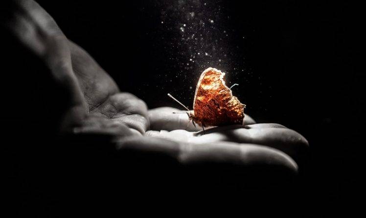 hands, Butterfly, Selective coloring, Simple background HD Wallpaper Desktop Background