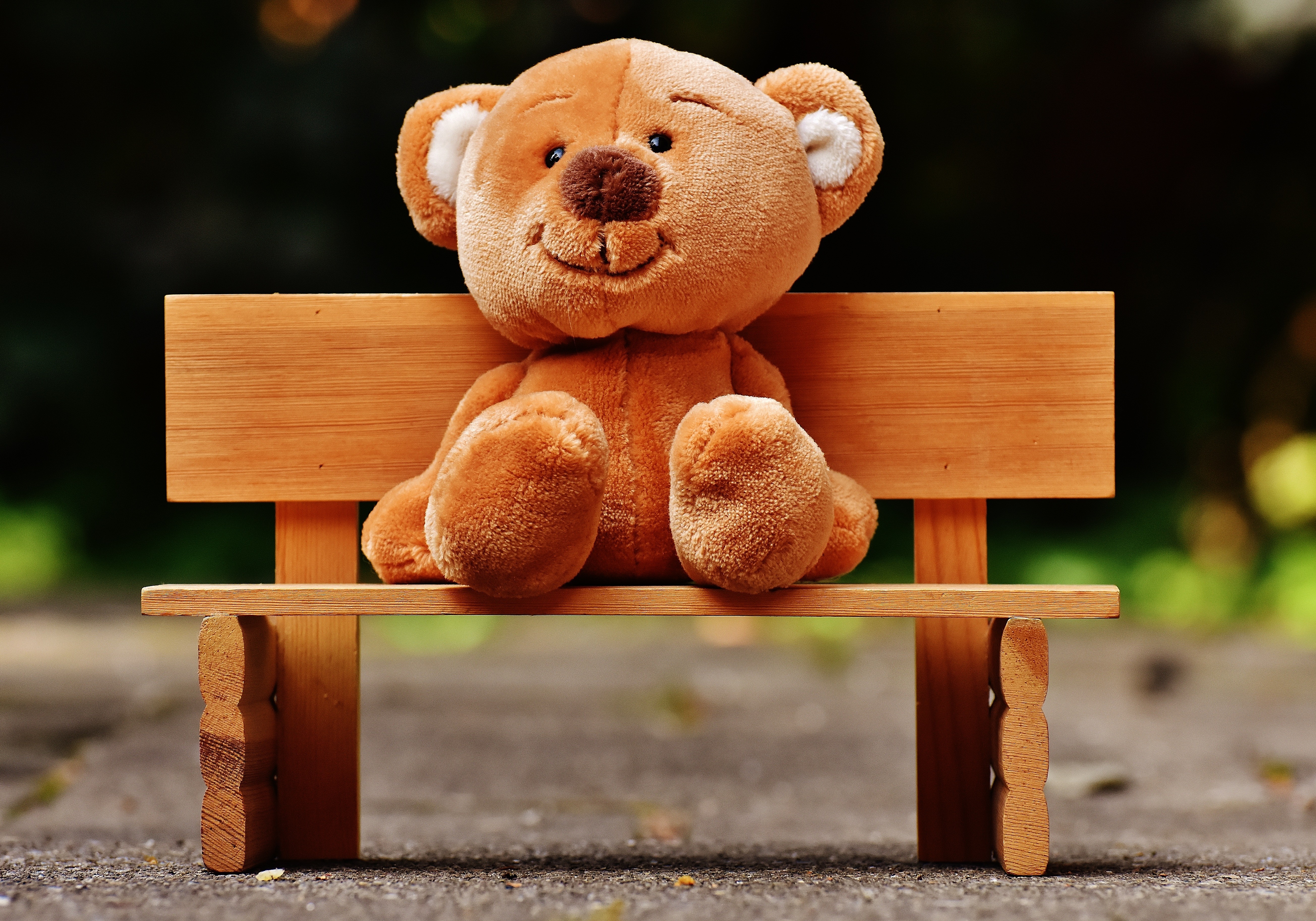 bench, Teddy bears, Nature, Outdoors, Road Wallpaper