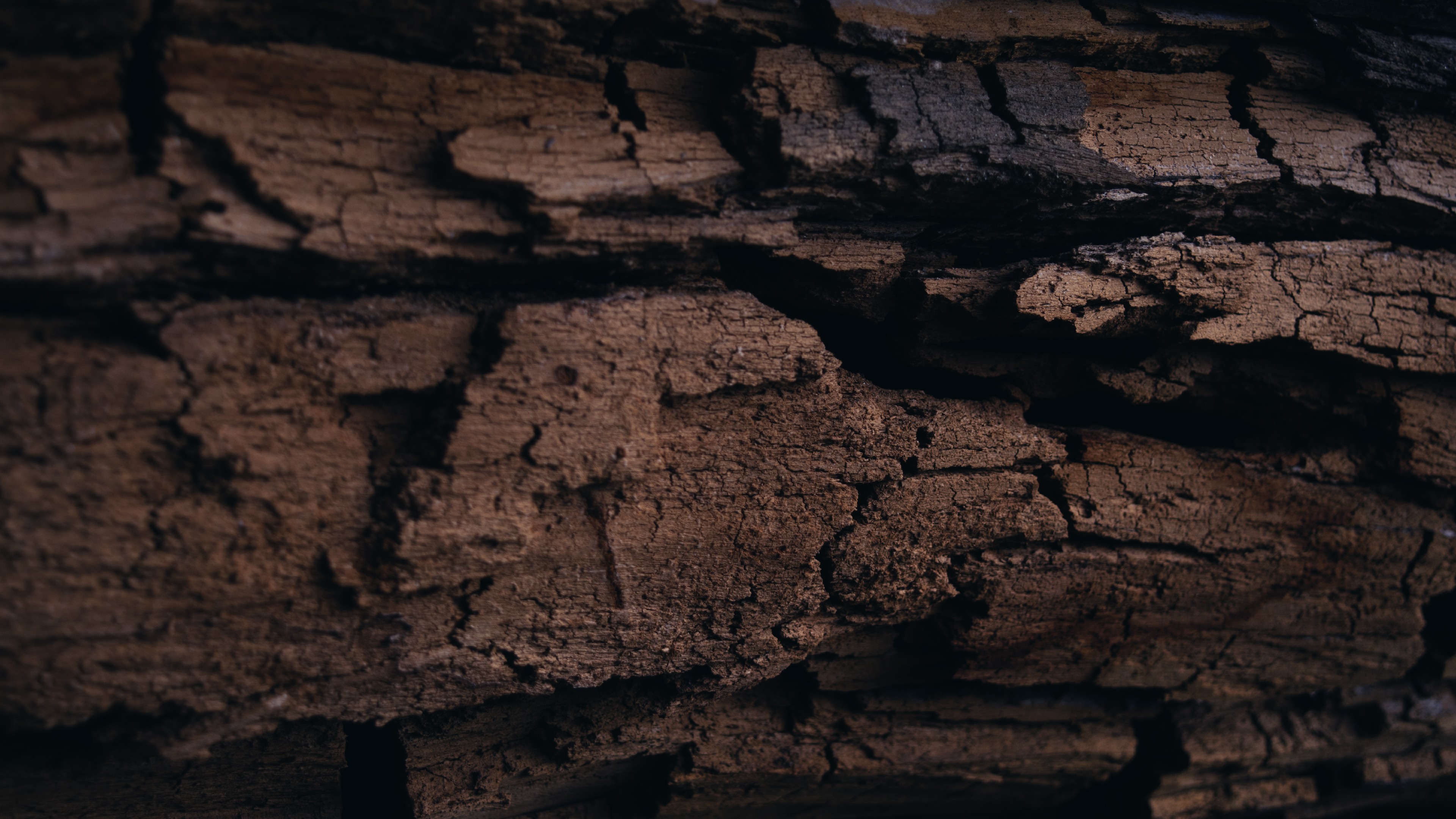 log, Wood Wallpaper