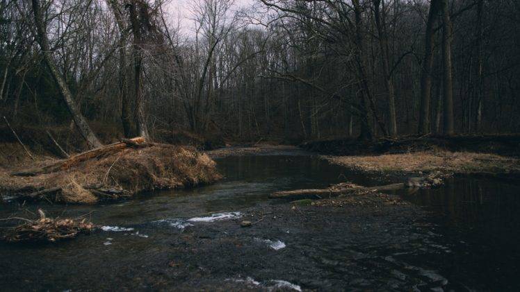 river, Water, Trees HD Wallpaper Desktop Background