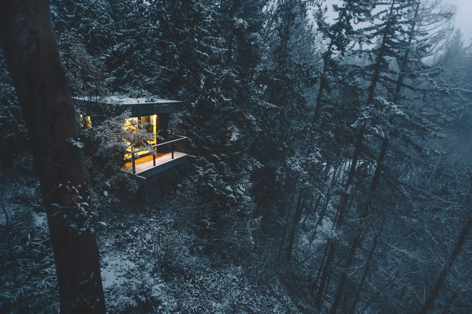 photography, Nature, Landscape, Winter, Forest, Cabin, Snow, Trees, Cold, Nova Scotia, Canada Wallpaper