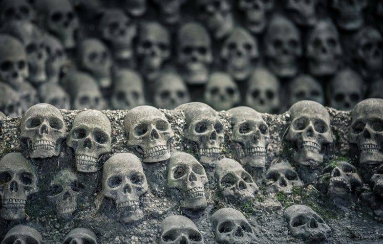 bones, Skull HD Wallpaper Desktop Background