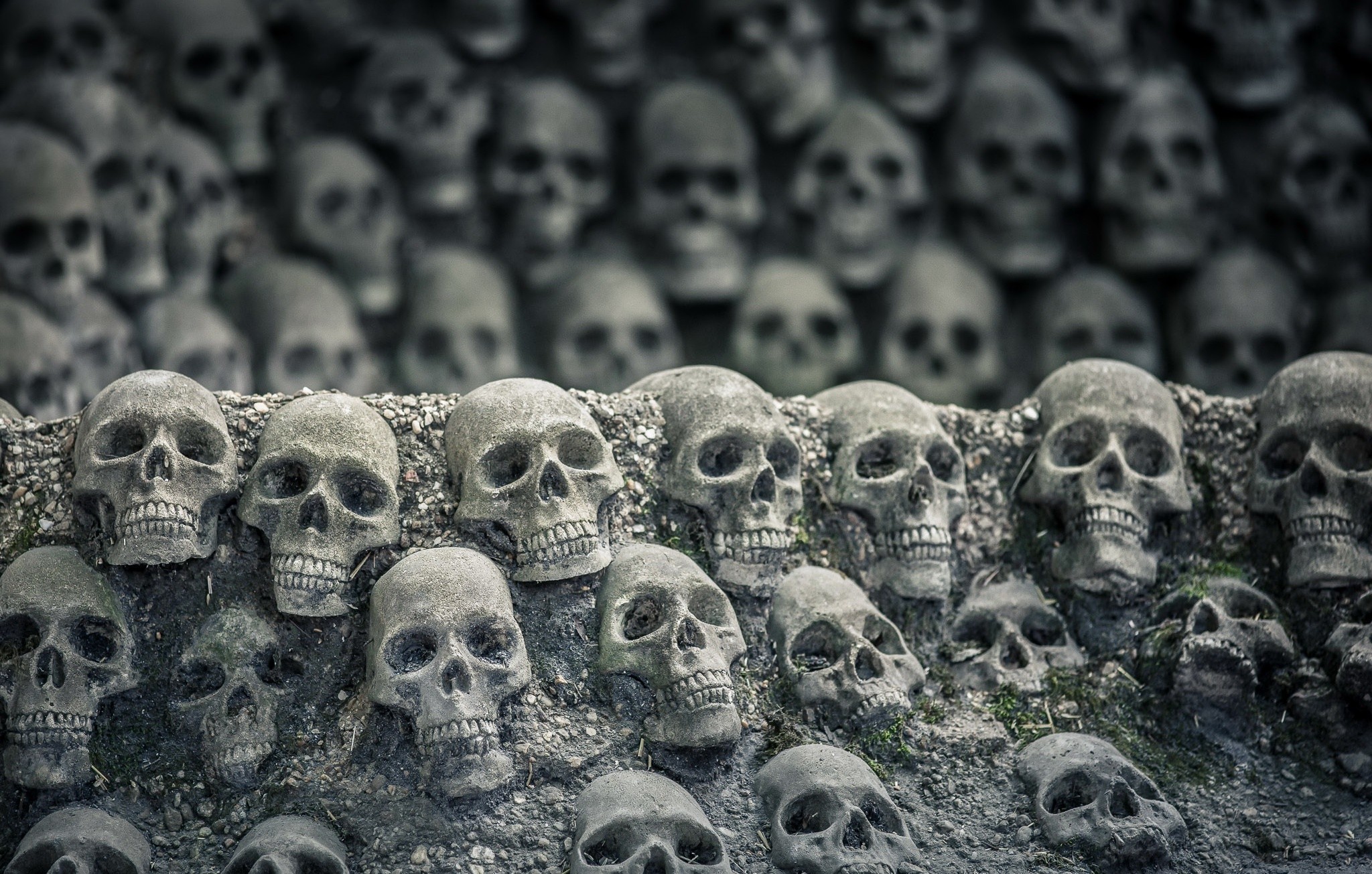 bones, Skull Wallpaper