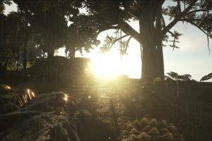 Ark: Survival Evolved, Sunset
