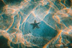 Jakob Owens, Photography, Underwater, Sun rays, Waves, Natural light, Starfish