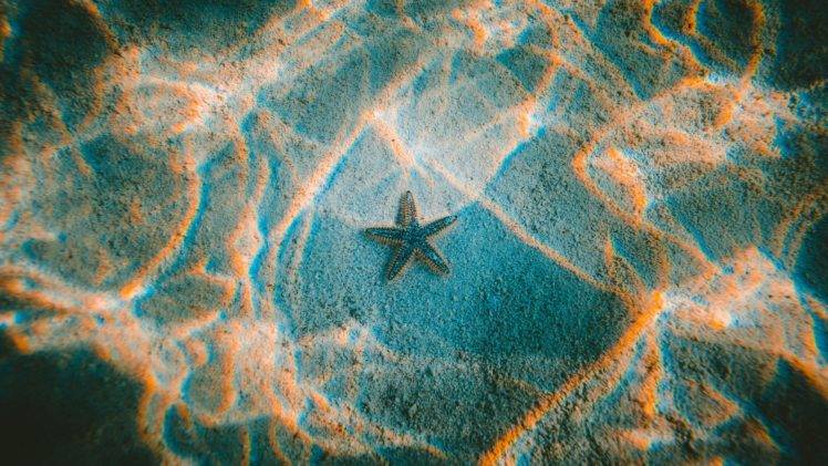 Jakob Owens, Photography, Underwater, Sun rays, Waves, Natural light, Starfish HD Wallpaper Desktop Background