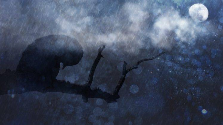 birds, Branch, Moonlight, Rain, Sadness, Clouds HD Wallpaper Desktop Background