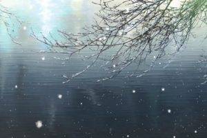 snow, Water, Branch, The Garden of Words