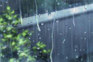 window, Rain, The Garden of Words